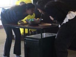 Cultural and Fresher