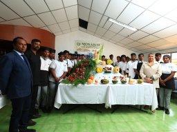 Cultural and Fresher